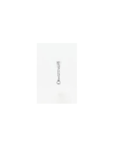 Boucles d'oreilles Or Blanc 375/1000  "Créole Charms" D0,05/15