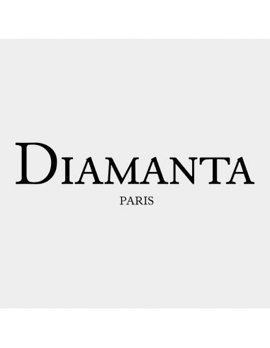 Boucles d'oreilles Or Blanc 375/1000 "Dises" Diamant 0,15/16